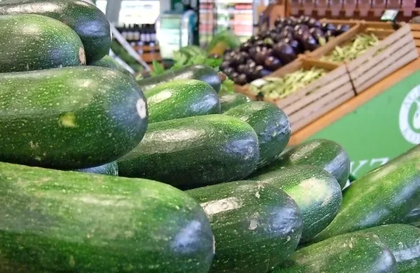 Agraria posluje z dobičkom