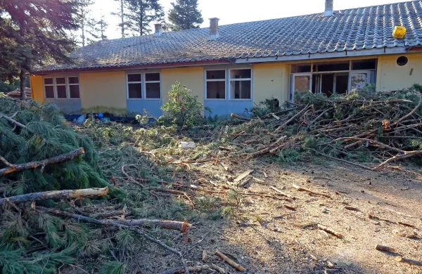 V preteklih  dneh so posekali borovce pri vojašnici, kmalu bodo 
padle še stavbe. 