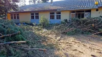 V preteklih  dneh so posekali borovce pri vojašnici, kmalu bodo 
padle še stavbe. 
