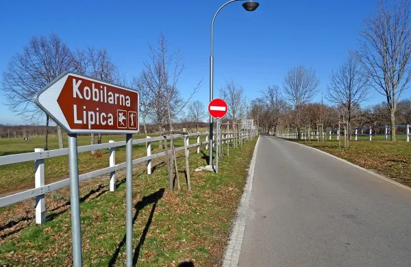 Snemanje bi bilo drago, ker bi  zahtevalo zapore cest, pripravo pašnikov in pripravo konj. 