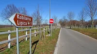 Snemanje bi bilo drago, ker bi  zahtevalo zapore cest, pripravo pašnikov in pripravo konj. 