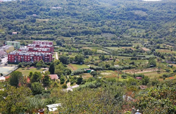 Škofija Koper bo dodaten denar za dom v Strunjanu  dobila s 
prodajo kmetijskih zemljišč oziroma vrtičkov v Olmu. 