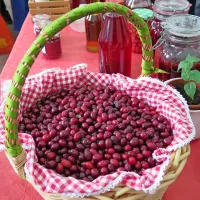 Drobni sadeži ponujajo veliko možnosti uporabe.