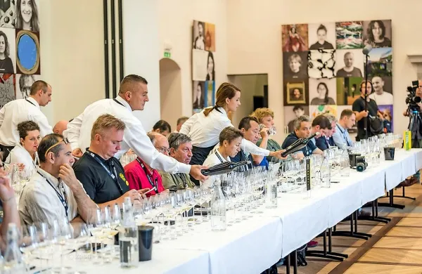 Novinarji in vinski kritiki iz vsega sveta v Brdih na pokušini rebule