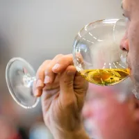 Novinarji in vinski kritiki iz vsega sveta v Brdih na pokušini rebule