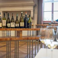 Novinarji in vinski kritiki iz vsega sveta v Brdih na pokušini rebule