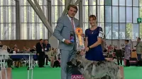 Damijana Lisjak skupaj s Primusom Milirujem na podelitvi 
nagrad v Amsterdamu.