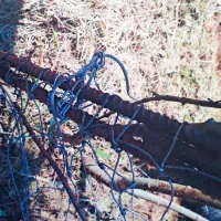 Zanke, tako predvidevajo dutovski lovci, postavlja izkušen domačin ali skupina domačinov, ki dobro pozna teren. 