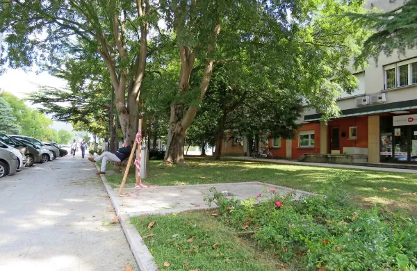 Kip  bo stal  le nekaj korakov od spomenika Vilfanovemu sodobniku 
in prijatelju Alešu Beblerju. 