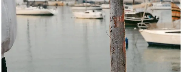 Srebrni mečak   je prišlek iz globin.