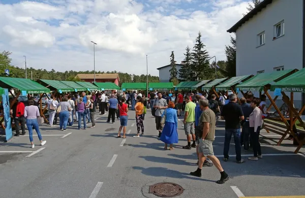 Na zaposlitvenem sejmu  v Hrpeljah se je približno 200 iskalcev 
zaposlitve srečalo s predstavniki desetih podjetij z območja 
občine. 