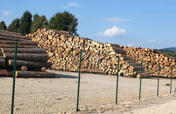 Najem skladišča je družbi SiDG omogočil, da so les odpeljali iz 
gozda in s tem med drugim zmanjšali  nevarnost širjenja podlubnikov.
