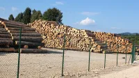 Najem skladišča je družbi SiDG omogočil, da so les odpeljali iz 
gozda in s tem med drugim zmanjšali  nevarnost širjenja podlubnikov.