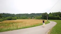 Na praznem zemljišču naj bi po načrtih zrasla soseska z  javnim programom in zelenimi površinami. Kdaj, če sploh, se bo to tudi dejansko 
zgodilo, ne ve nihče. 