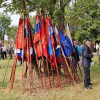 Z dvignjeno glavo v nov dan tudi danes
