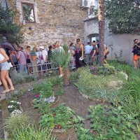 Drugouvrščeni vrt v ulici Agrarne reforme, za katerega skrbijo 
bližnji stanovalci.