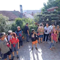 Najlepši vrt se skriva v Zadružni ulici