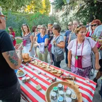 Najlepši vrt se skriva v Zadružni ulici