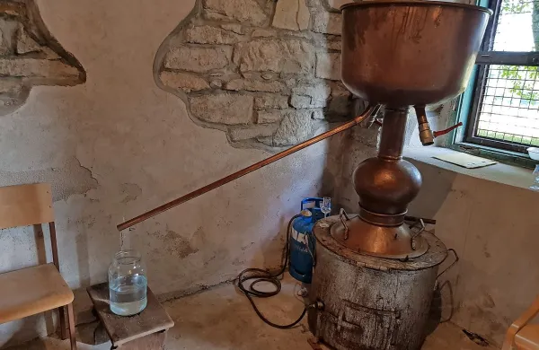 V  Brkinih je žganjekuha tudi uradno prisotna že 110 let. Častitljivi jubilej bodo v Ilrski Bistrici 
obeležili ta konec tedna.