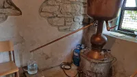 V  Brkinih je žganjekuha tudi uradno prisotna že 110 let. Častitljivi jubilej bodo v Ilrski Bistrici 
obeležili ta konec tedna.