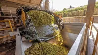 V večjih kleteh, kot sta briška in vipavska,  in pri zasebnih vinarjih 
imajo dovolj potrebne opreme.