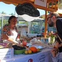 V Pivki je bilo okusno in veselo