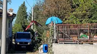Delavci koprske Marjetice so včeraj pri zbiratelju krame na 
Škofijah znova odstranjevali odpadke, ki jih je tokrat kopičil na 
občinskem zemljišču.
