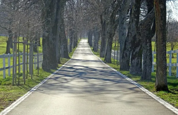 Cesta v Lipico iz sežanske smeri bo kmalu spet dvosmerna. 