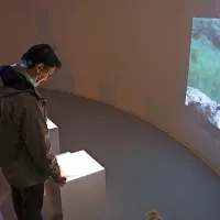 Galerijo dojema kot svoj delovni prostor