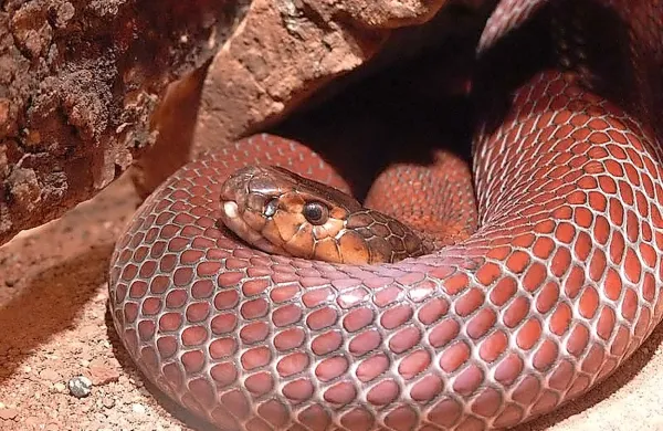 Fotografija je simbolična.