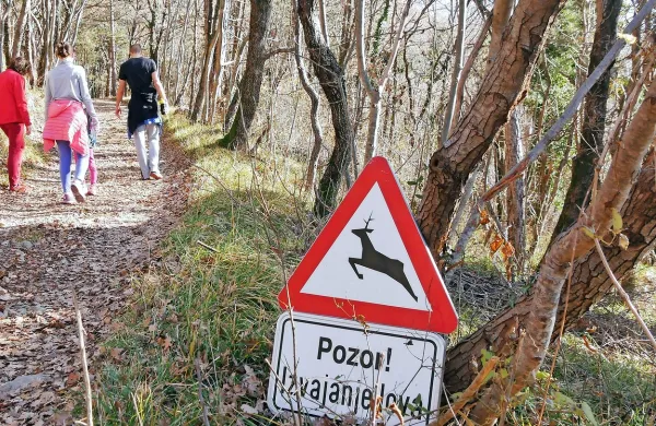 Številni opozarjajo, da skupni lov v mestnem gozdu ni primeren in je potencialno nevaren. Problem 
je treba rešiti, odgovarjajo lovci in zagotavljajo, da bo za varnost poskrbljeno. 