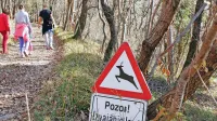 Številni opozarjajo, da skupni lov v mestnem gozdu ni primeren in je potencialno nevaren. Problem 
je treba rešiti, odgovarjajo lovci in zagotavljajo, da bo za varnost poskrbljeno. 