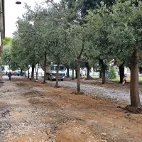 Za kaos na trgu Brolo naj bi bilo krivo slabo obveščanje