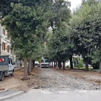 Za kaos na trgu Brolo naj bi bilo krivo slabo obveščanje
