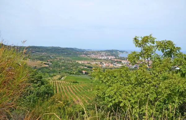 Poziv imetnikom poljskih kažet v Občini Izola