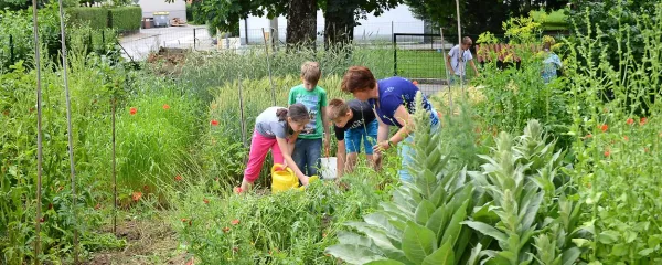 Ker danes šolski vrt (na fotografiji pri OŠ Dragotina Ketteja Ilirska 
Bistrica) ni vključen v učne načrte, so dejavnosti na njem odvisne 
predvsem od zanimanja in pobud mentorjev  oziroma vodstva 
šole. 