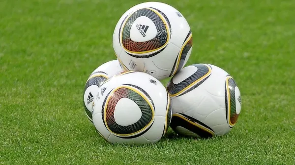 Sežanske če&scaron;njice v gosteh ne cvetijo