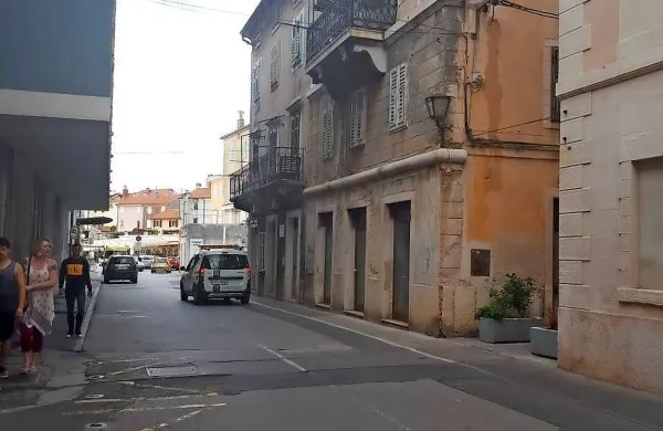 Zelo strupena kobra v Piranu