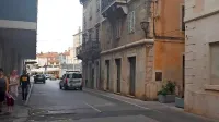 Zelo strupena kobra v Piranu
