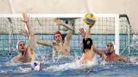 V bazena pod balonom v Žusterni se drevi spet vrača kakovostno mednarodno tekmovanje.