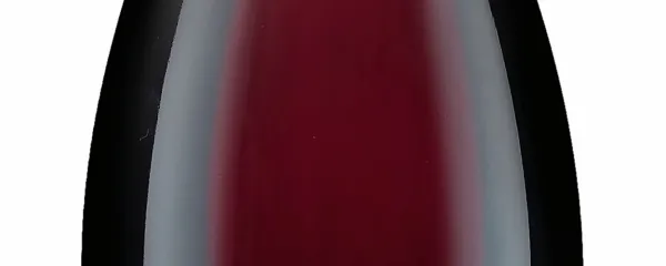 Modri pinot (Jam&scaron;ek 1887)