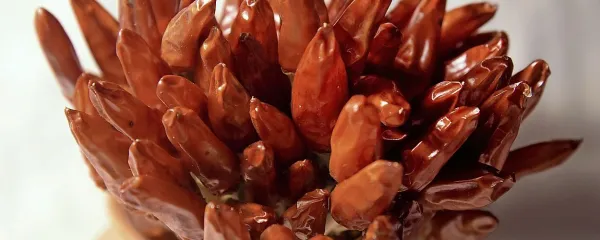 Pekoč čili hitro odpre zamašen nos.