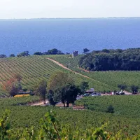 Na Debelem rtiču ne želijo vojakov Nata na počitnicah