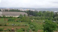 Na tem  zemljišču ob Dolinski cesti v Olmu koprski javni stanovanjski sklad načrtuje stanovanjsko gradnjo. 