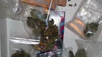 Poleg drog so policisti  pri dijakih doma zasegli tudi gotovino.