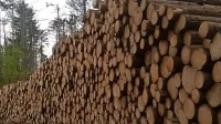 Ena glavnih težav slovenske lesne branže v Sloveniji je pomanjkanje izdelkov z visoko dodano vrednostjo.