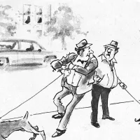 Don Orehek je v ZDA poznan po svojih karikaturah, za katere je 
prejel številne nagrade. 