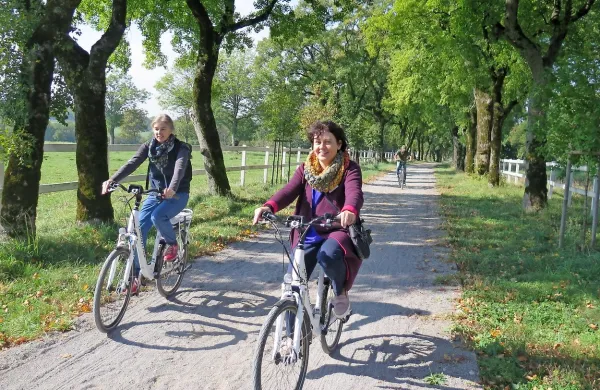 Za raziskovanje lipiškega posestva si lahko obiskovalci izposodijo 
električna kolesa.