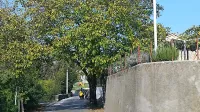 Med  domom krajanov in  križiščem  z železnico nameravajo urediti 
tudi pločnik.