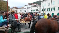 Furenga svetega Martina je pot zaključila v Vipavi